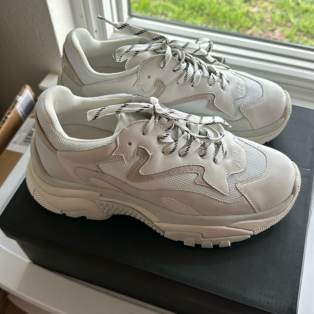 Ash Addict Sneakers